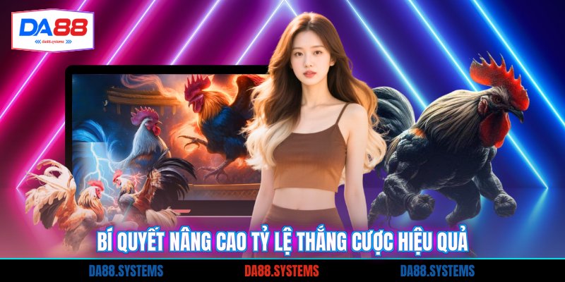 Đá Gà Trực Tiếp Thomo - Xem Chiến Kê Đỉnh Nhất 2026 3 Bí quyết nâng cao tỷ lệ thắng cược hiệu quả