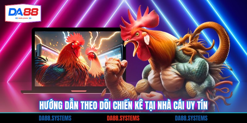 Đá Gà Trực Tiếp Thomo - Xem Chiến Kê Đỉnh Nhất 2026 2 Hướng dẫn theo dõi chiến kê tại nhà cái uy tín