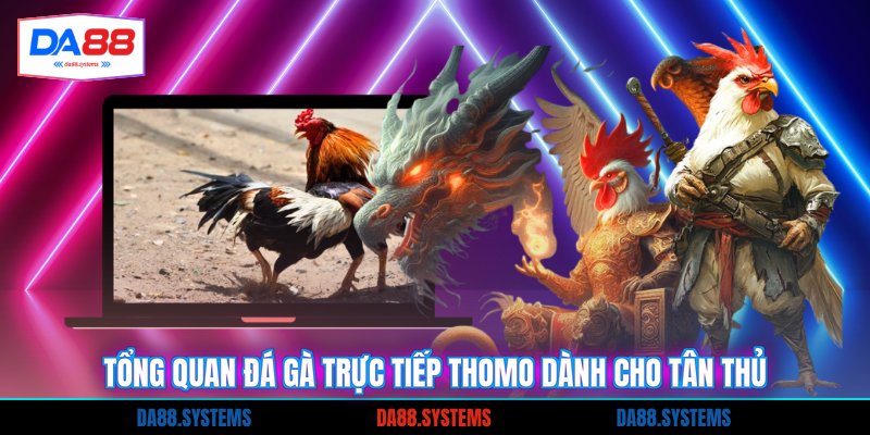 Đá Gà Trực Tiếp Thomo - Xem Chiến Kê Đỉnh Nhất 2026 1 Tổng quan đá gà trực tiếp thomo dành cho tân thủ